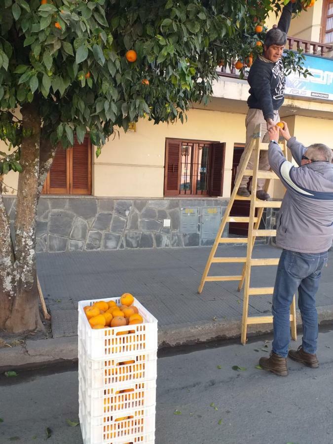 Ferienwohnung La Francisca San Salvador de Jujuy Exterior foto